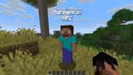 Mannequins are player-like entities without any AI (Image via Sportskeeda Gaming || Mojang Studios)